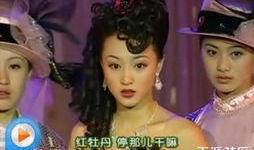 华妃娘娘是什么电视剧,甄嬛传华妃娘娘传奇人生