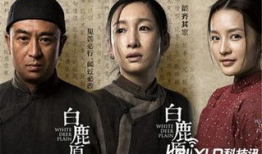 电视剧白鹿原剧情介绍,家族恩怨，命运交织的百年史诗