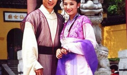 欢喜冤家电视剧,爱恨交织的甜蜜纠葛